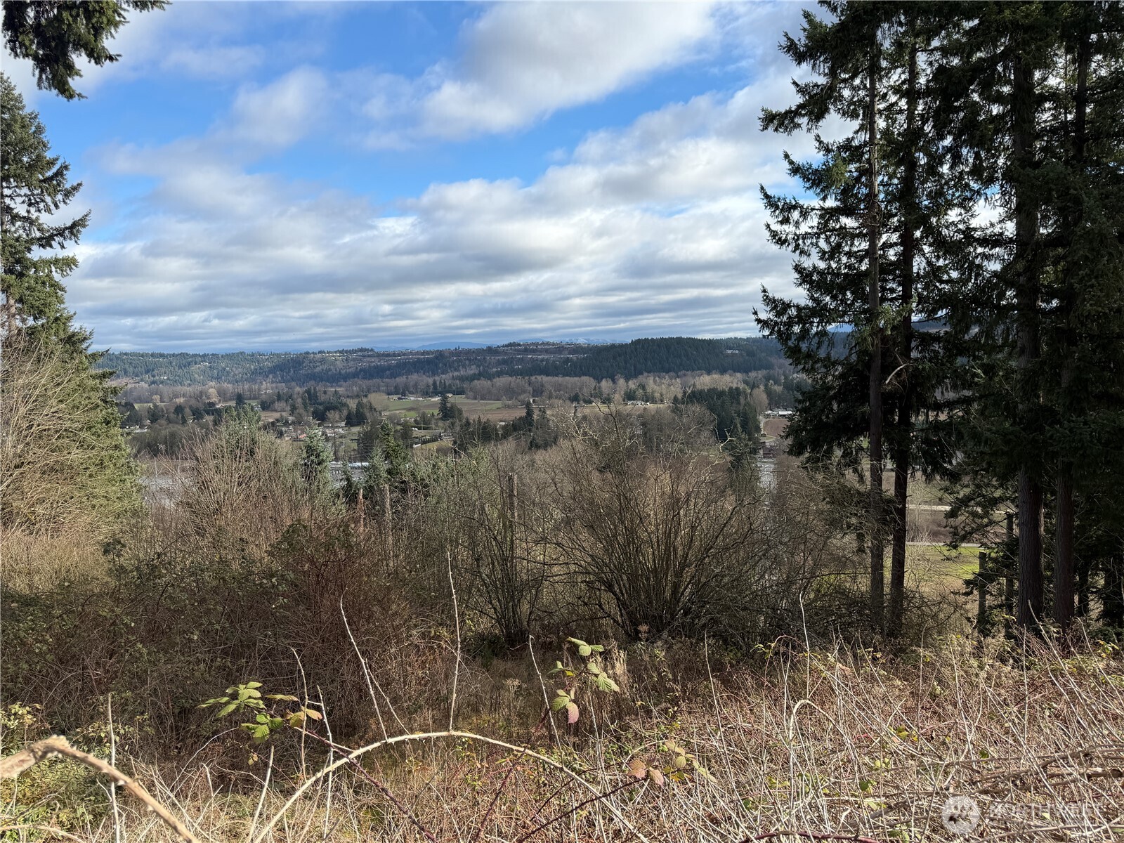 11603 Jennifer Court E Puyallup WA 98374