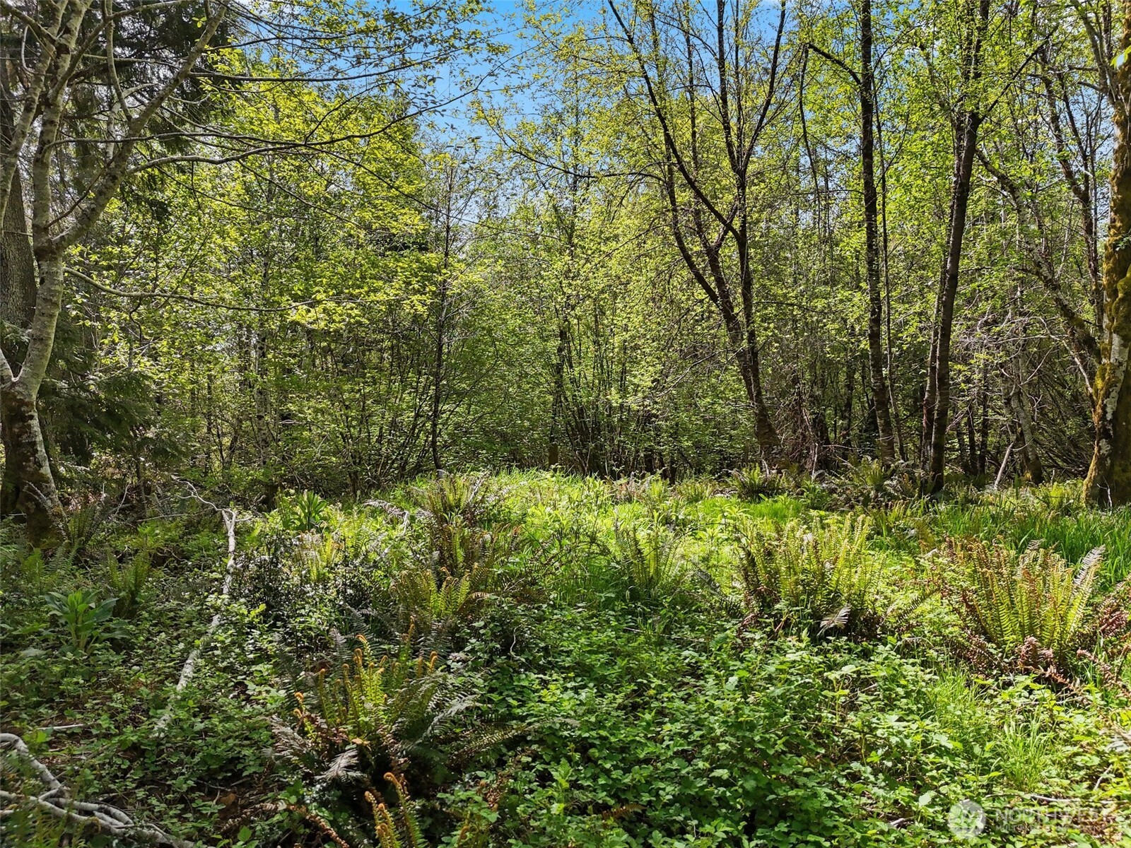 1420 South Bend Road Raymond WA 98577
