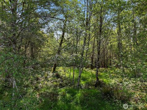 1420 South Bend Road Raymond WA 98577