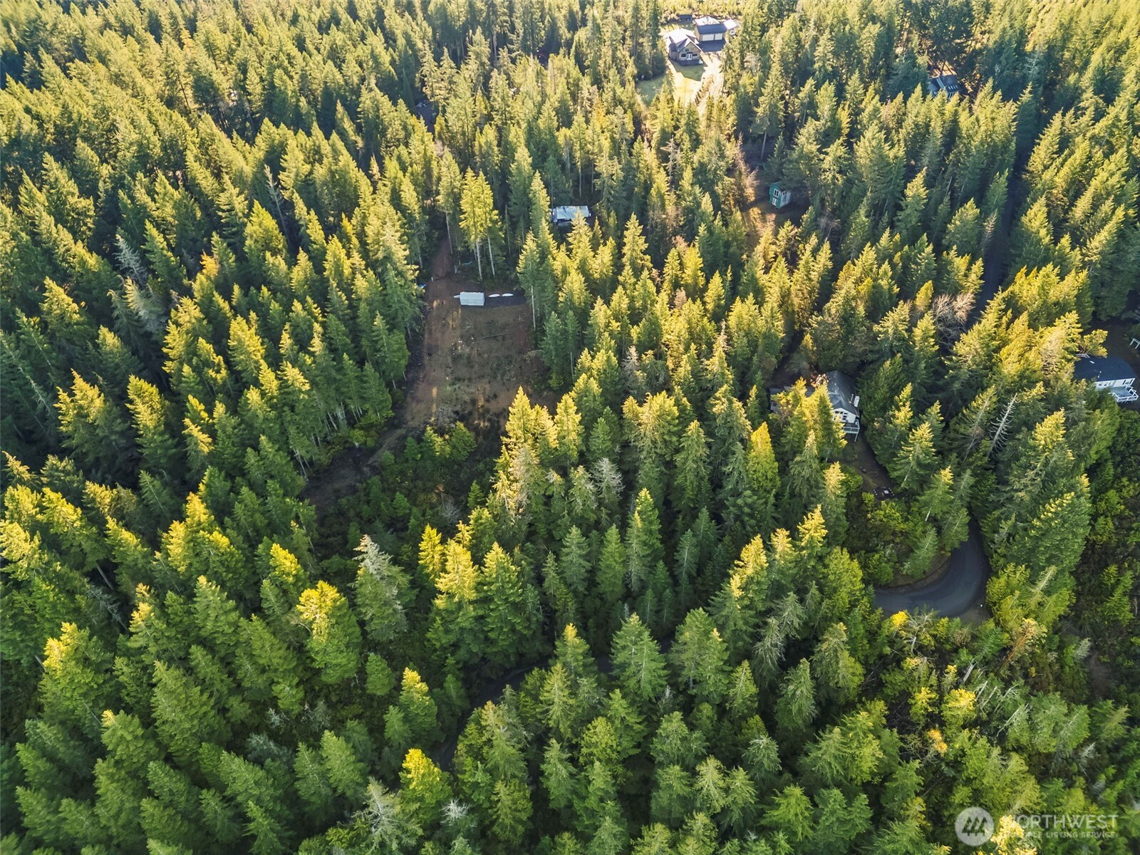 1133 E Timber Tides Drive Union WA 98592