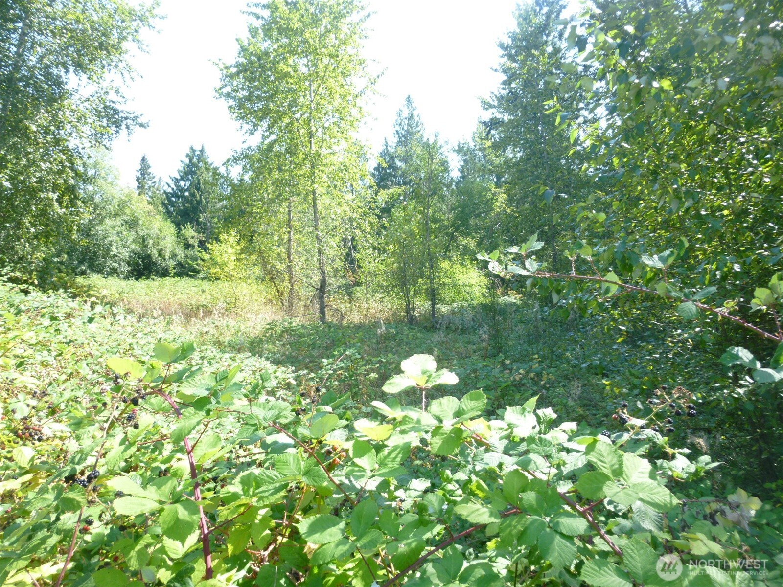 0 Larch Way Lynnwood WA 98036