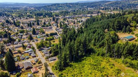 0 Rhobina Street Centralia WA 98531