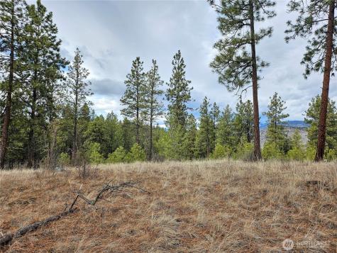 315 W Corral Drive Oroville WA 98844