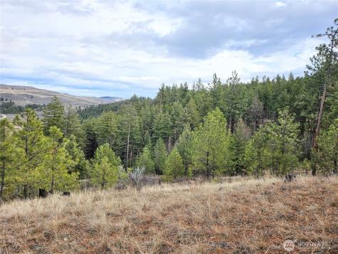 315 W Corral Drive Oroville WA 98844