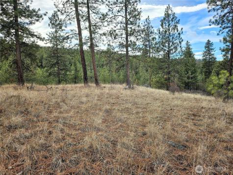315 W Corral Drive Oroville WA 98844