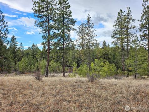 315 W Corral Drive Oroville WA 98844