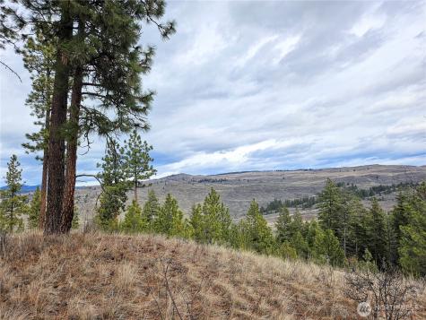 315 W Corral Drive Oroville WA 98844