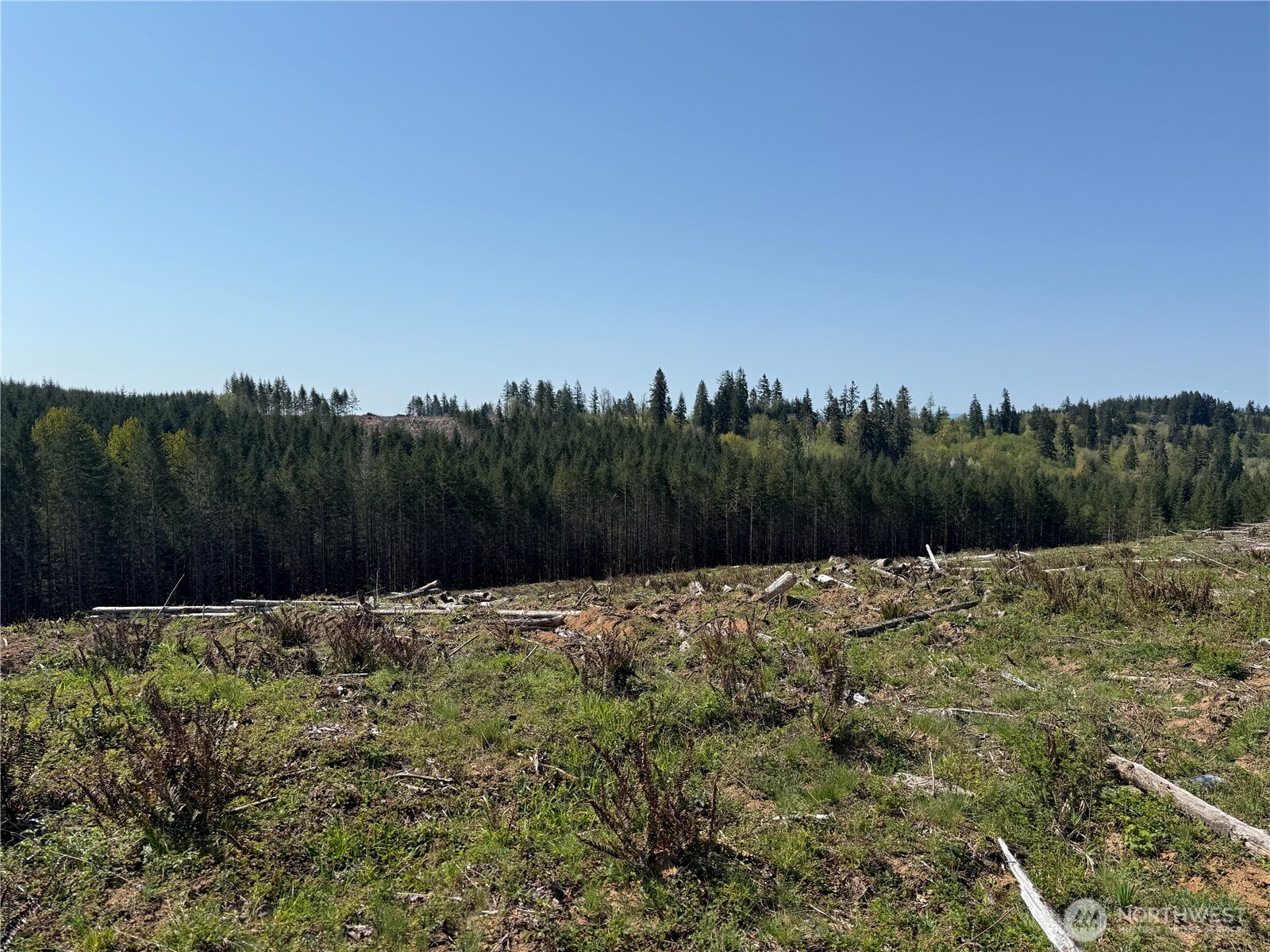 7 Centralia Alpha Road Chehalis WA 98532