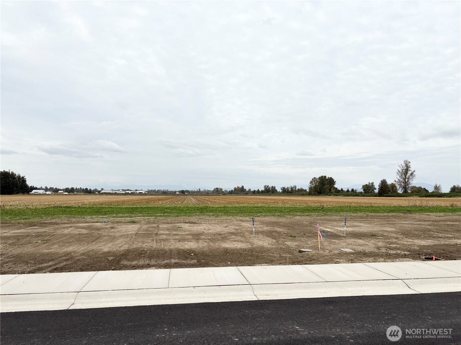 408 W 3rd Street Everson WA 98247