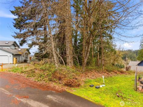 2411 Lakeview Court SW Olympia WA 98512