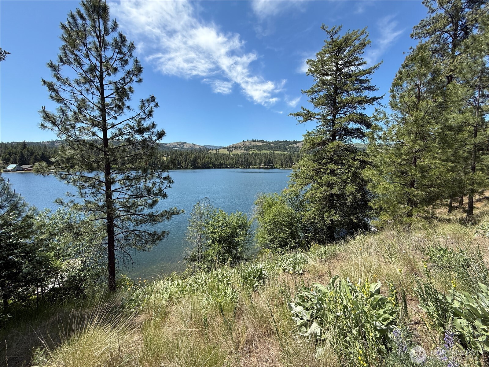 0 Dollar Bar Beach Road Republic WA 99166