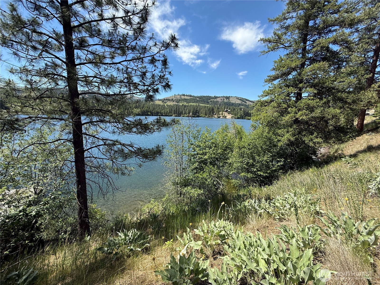 0 Dollar Bar Beach Road Republic WA 99166
