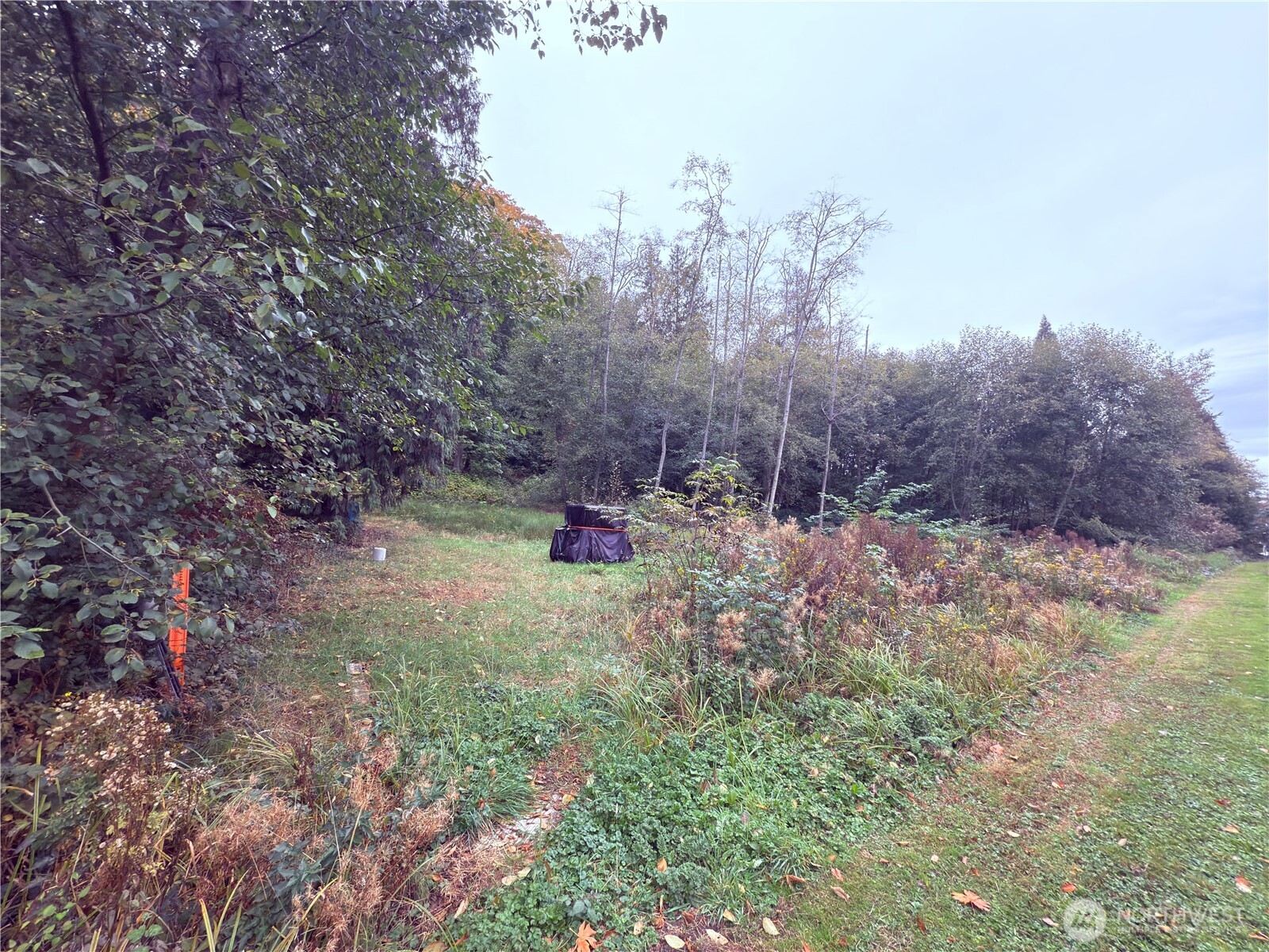 106 Port Susan Drive Hat Island WA 98206