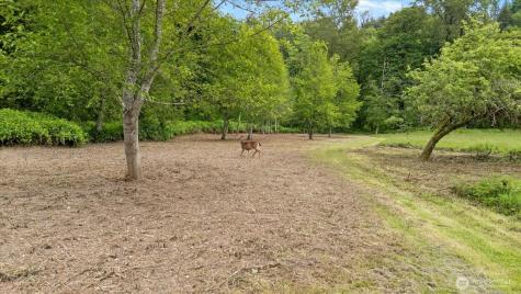 6 S Machias Road Snohomish WA 98290
