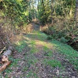 190 SE 66th Street Issaquah WA 98027