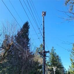 190 SE 66th Street Issaquah WA 98027