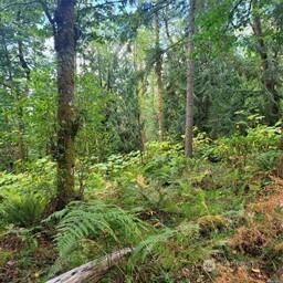 190 SE 66th Street Issaquah WA 98027