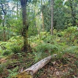 190 SE 66th Street Issaquah WA 98027