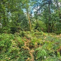 190 SE 66th Street Issaquah WA 98027