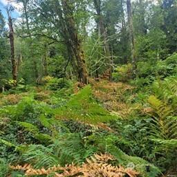 190 SE 66th Street Issaquah WA 98027