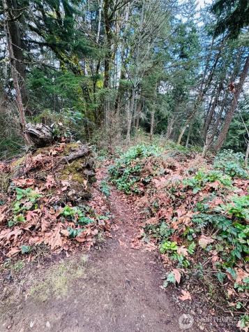 190 SE 66th Street Issaquah WA 98027