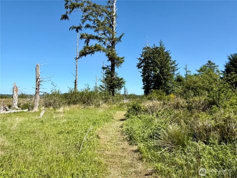 114 E Bayview Lane Westport WA 98595