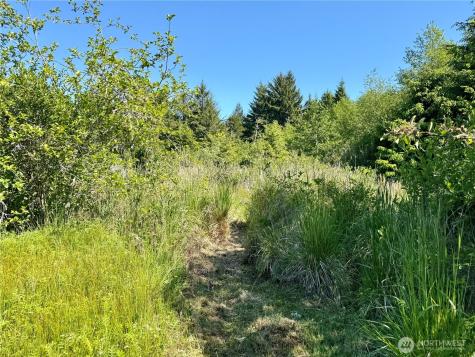 114 E Bayview Lane Westport WA 98595