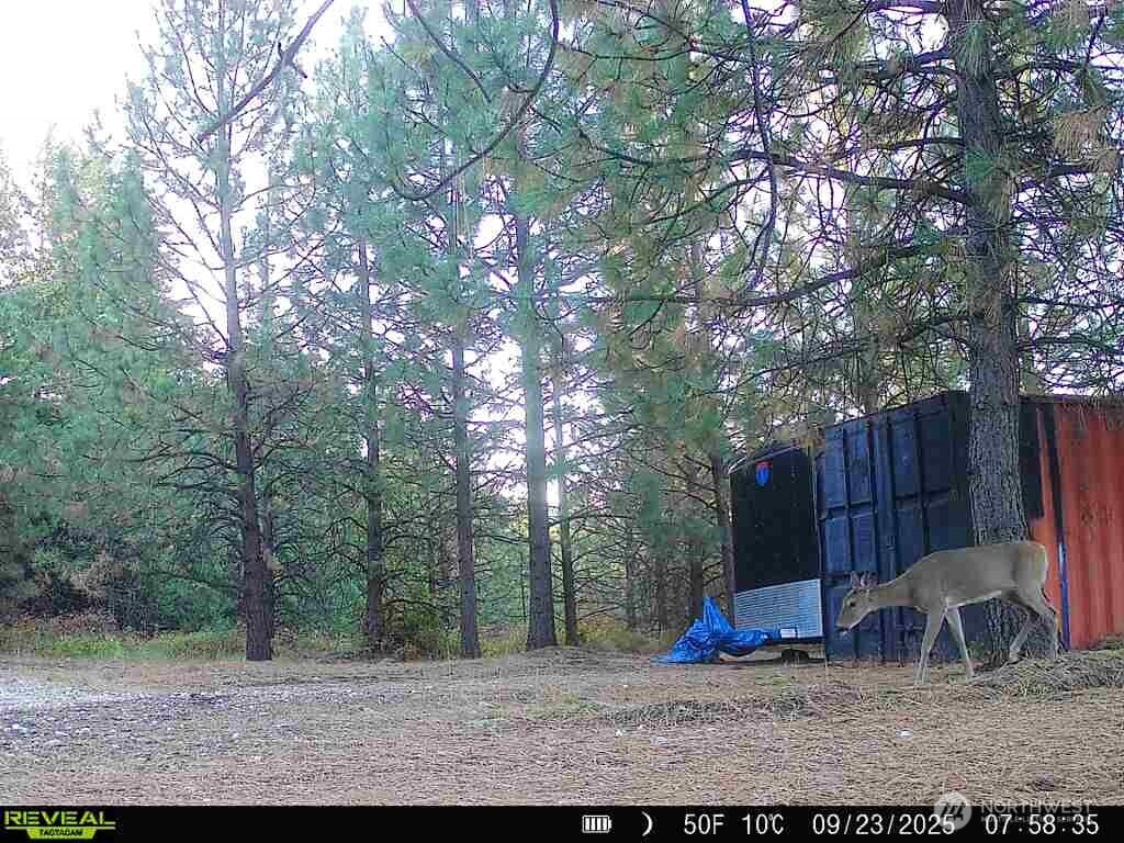 1733 Old Cc Road Addy WA 99101