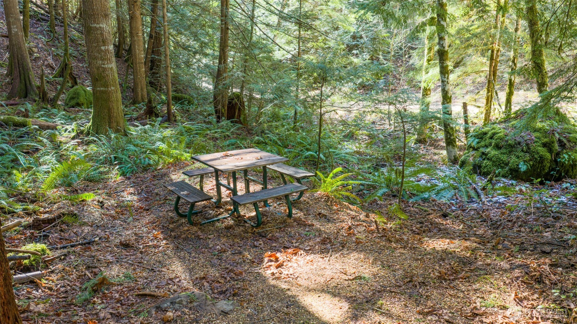13 Dow Ridge Road Hoodsport WA 98548