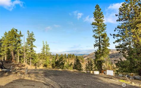 0 Morrison Canyon Lane Cle Elum WA 98922