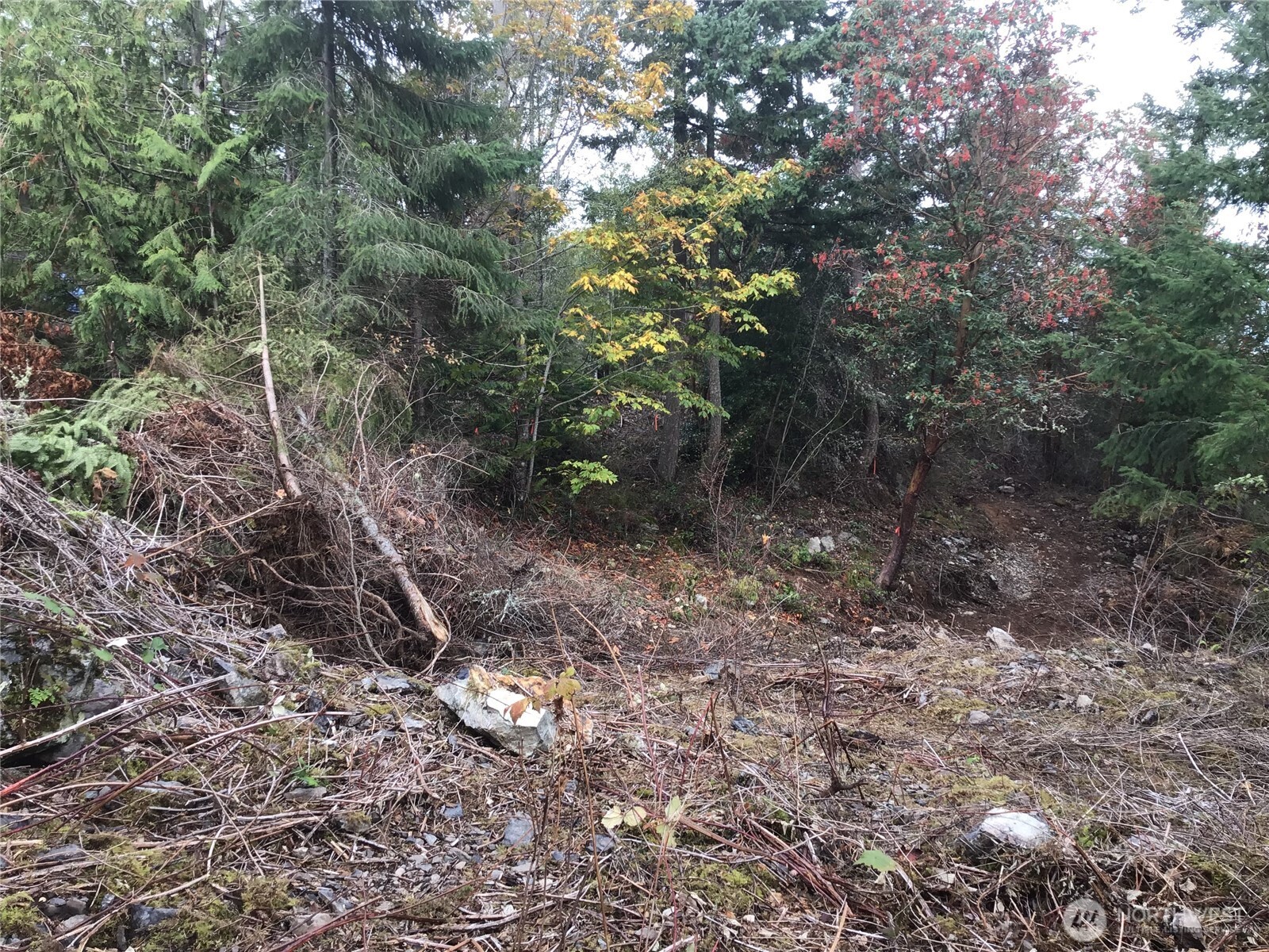11939 New Morning Drive Anacortes WA 98221