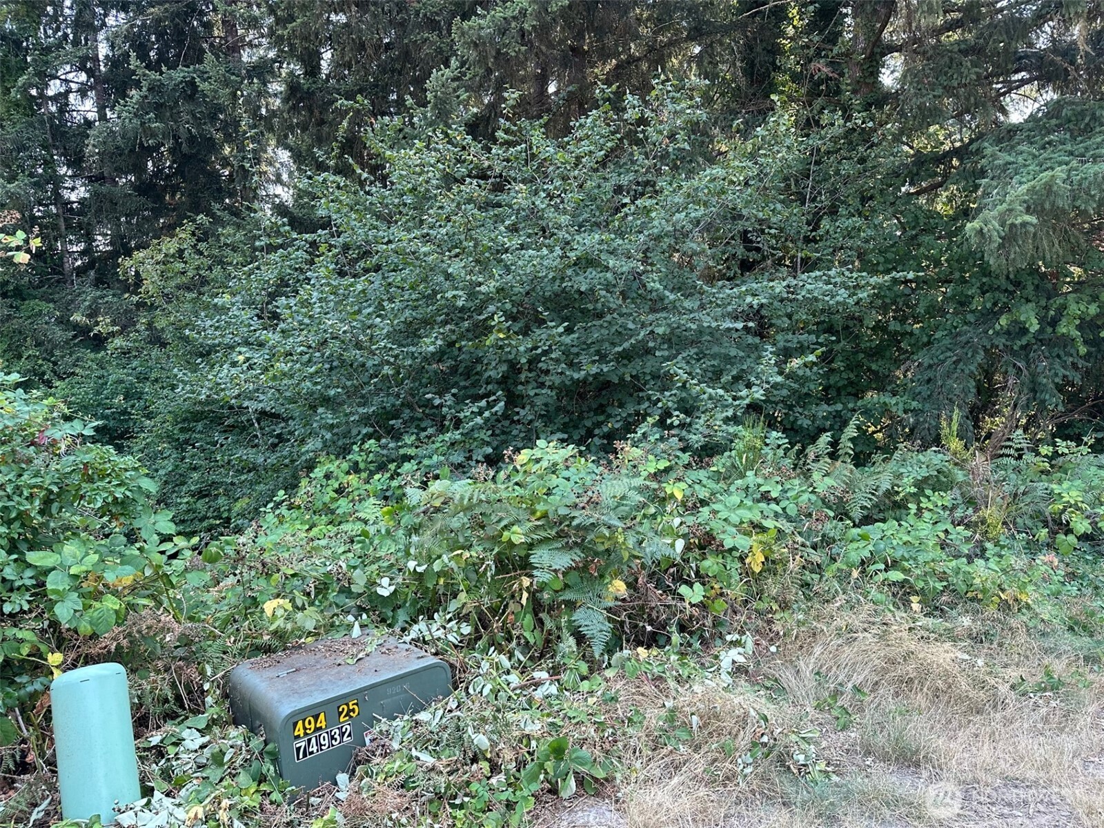 0 NE Wanda Court Belfair WA 98528