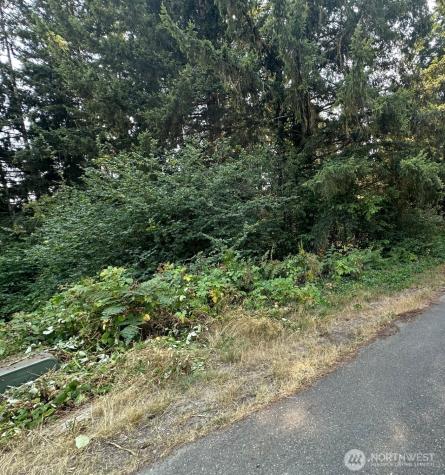0 NE Wanda Court Belfair WA 98528