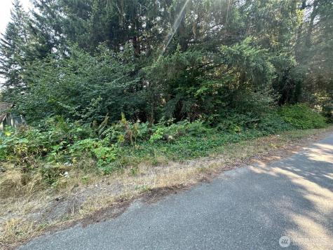 0 NE Wanda Court Belfair WA 98528