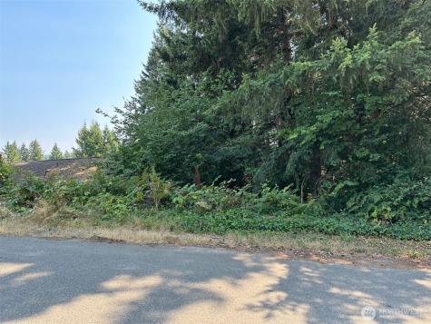 0 NE Wanda Court Belfair WA 98528