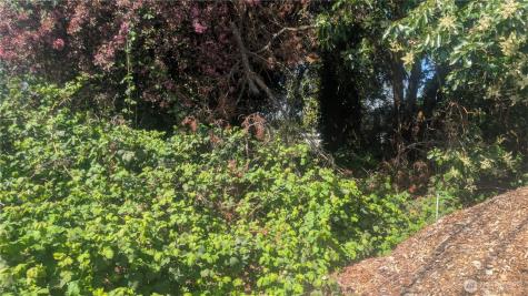 5263 21st Avenue SW Seattle WA 98106