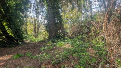 5263 21st Avenue SW Seattle WA 98106