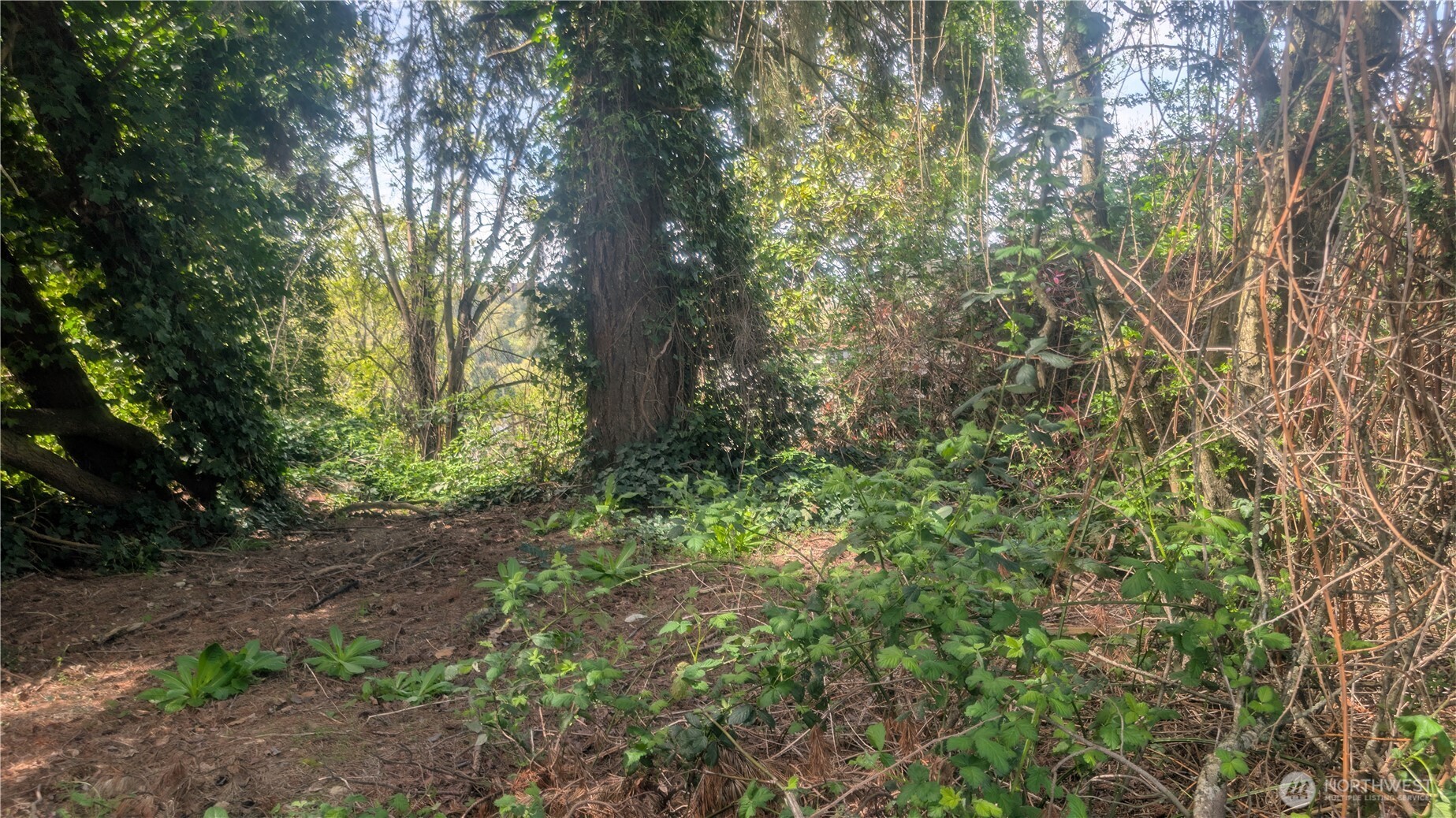5263 21st Avenue SW Seattle WA 98106