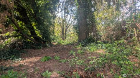 5263 21st Avenue SW Seattle WA 98106