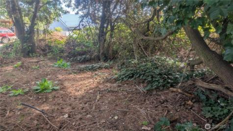 5263 21st Avenue SW Seattle WA 98106