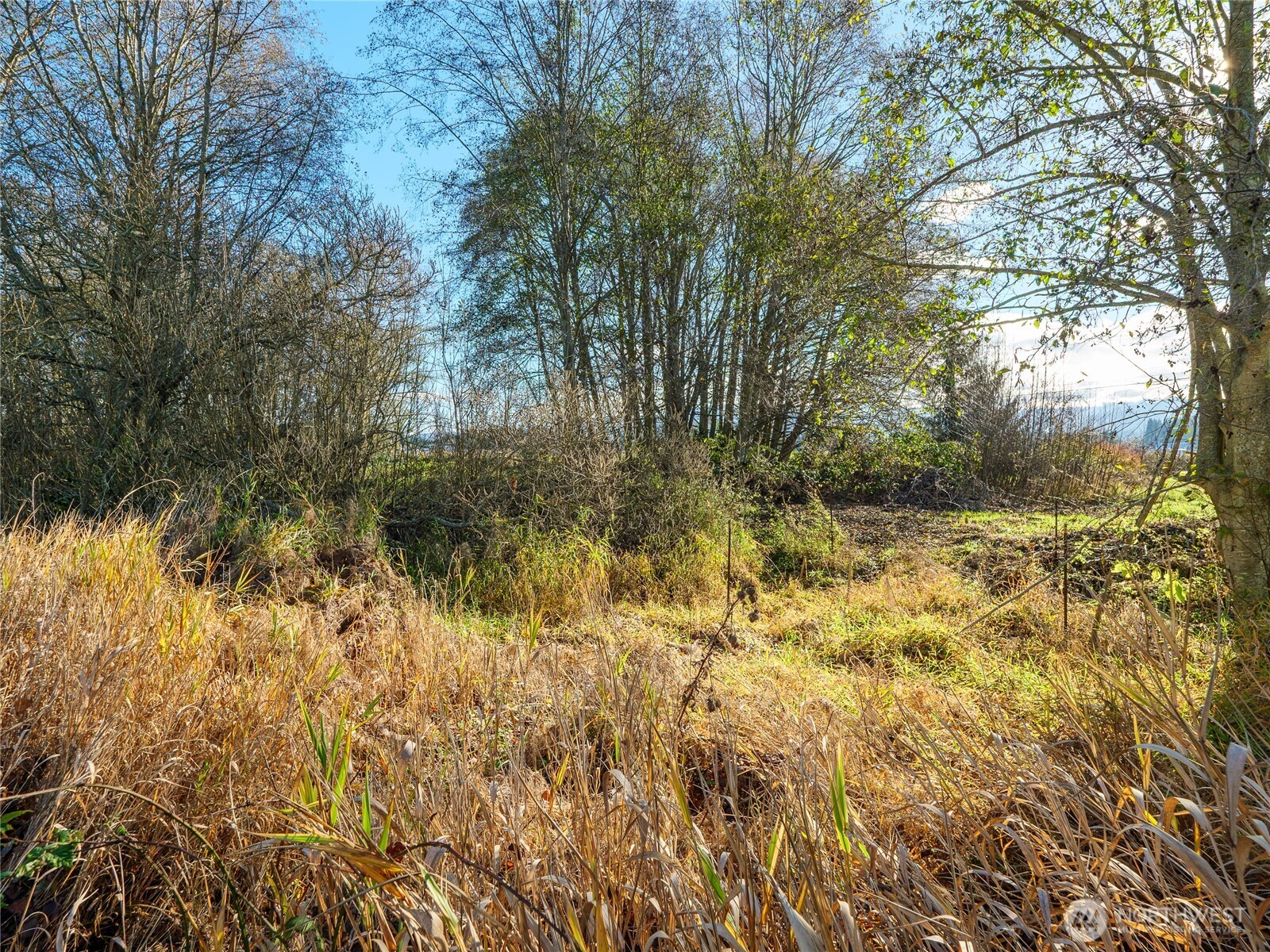 5953 Old Olympic Highway Sequim WA 98382