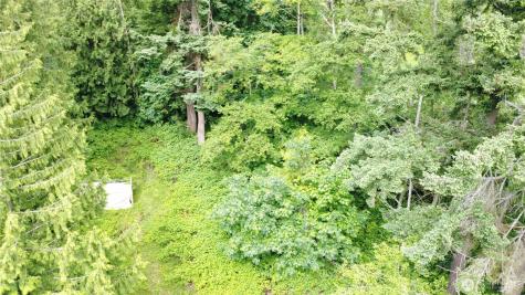 99 Port Susan Drive Hat Island WA 98206