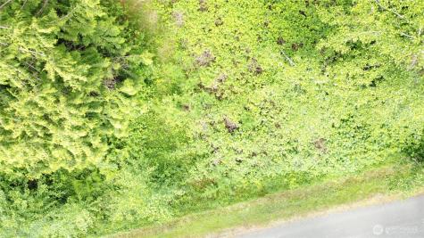 99 Port Susan Drive Hat Island WA 98206