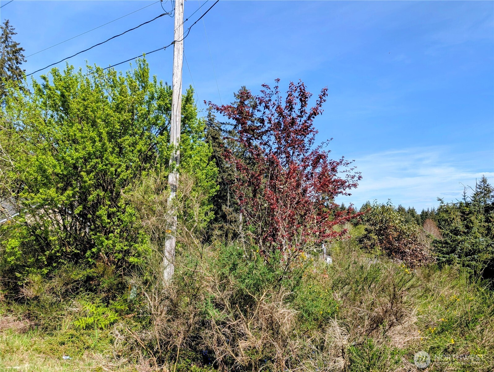 2501 195th Avenue SW Lakebay WA 98349