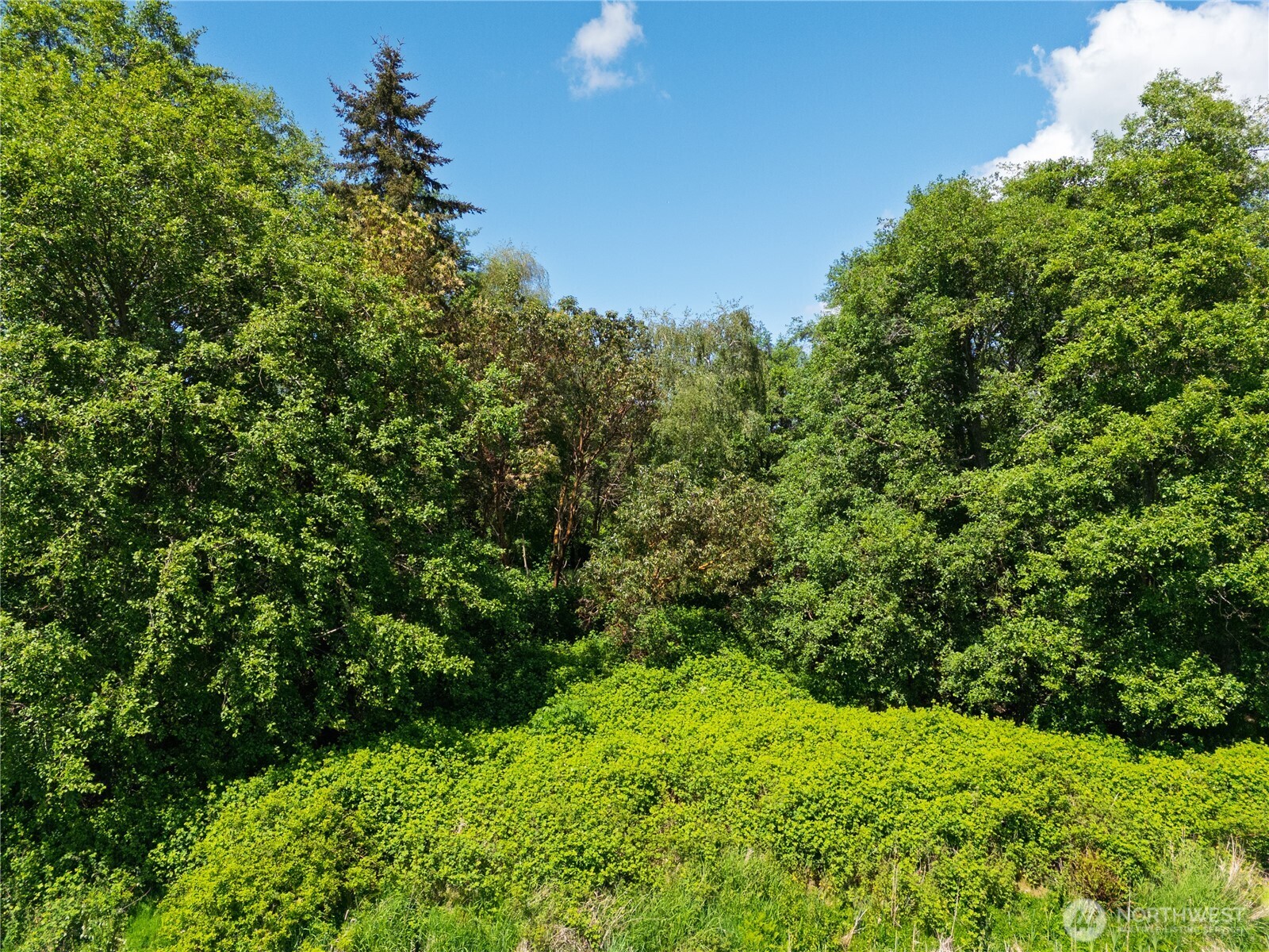 0 0 - Soundview Langley WA 98260