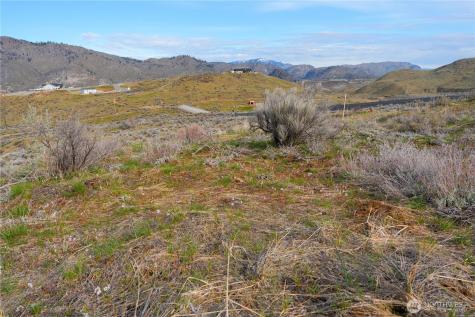 0 Parcel E Mcneil Canyon Road Orondo WA 98816