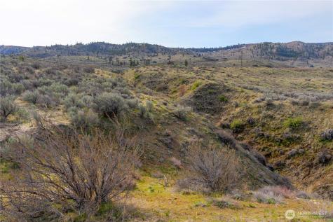 0 Parcel E Mcneil Canyon Road Orondo WA 98816