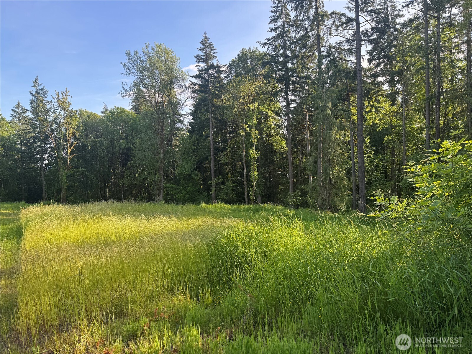 237 Haussler Road Kelso WA 98626