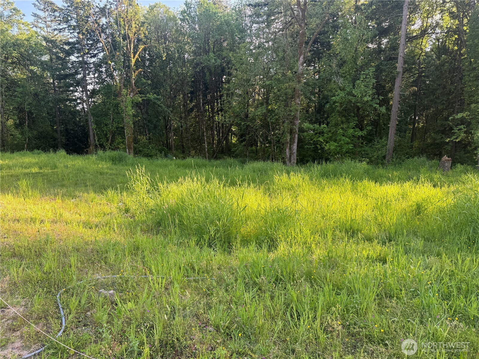 237 Haussler Road Kelso WA 98626
