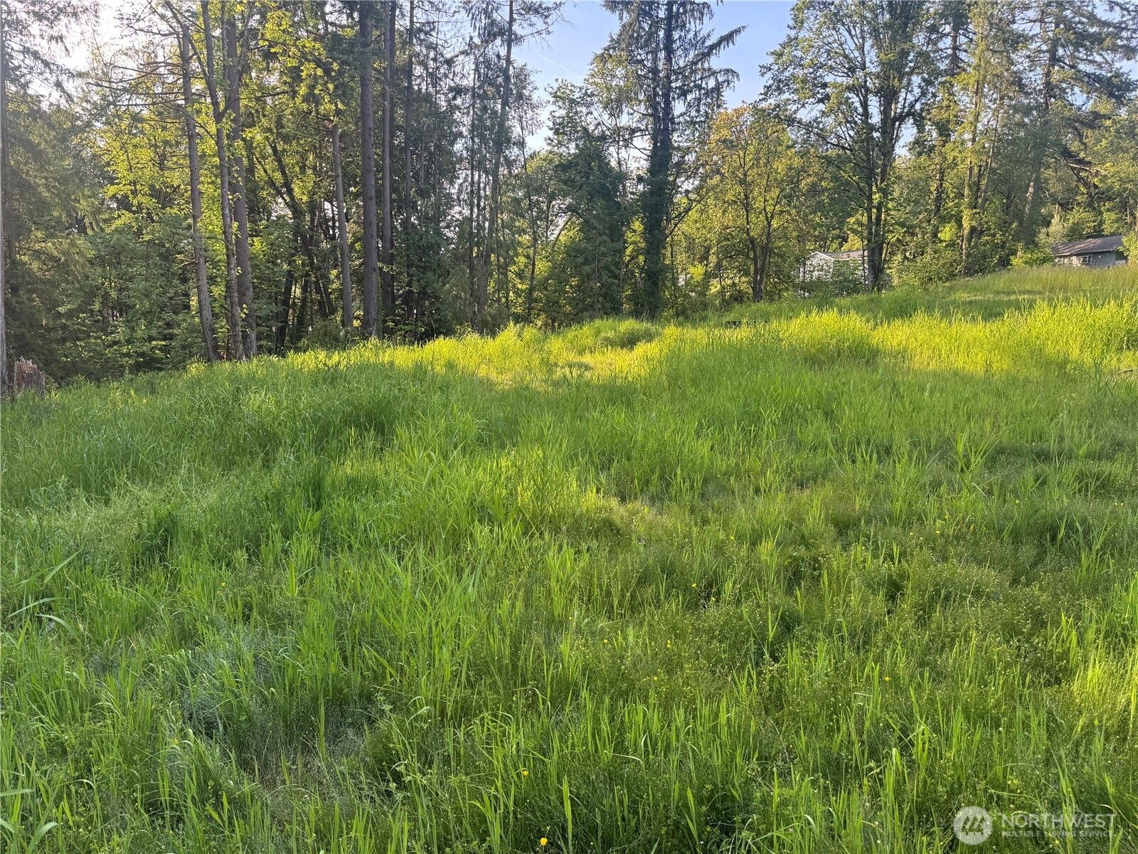 237 Haussler Road Kelso WA 98626